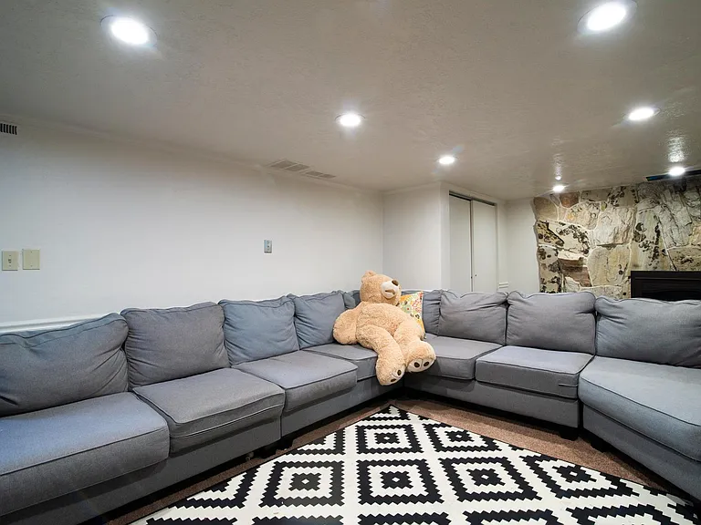 Family Room Downstairs