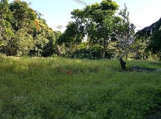 48-5319 Kukuihaele Rd LOT 2, Honokaa, HI 96727