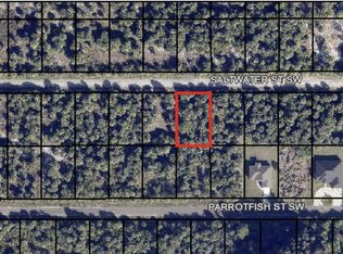 842 Saltwater St SW, Palm Bay, FL 32908