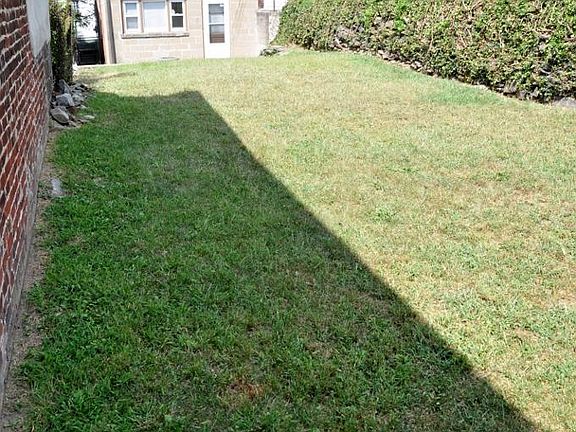 rear yard
