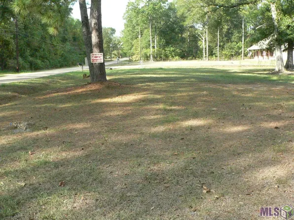 26740 Pine View Dr, Walker, LA 70785