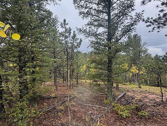 2nd image of 7935 County Road 51