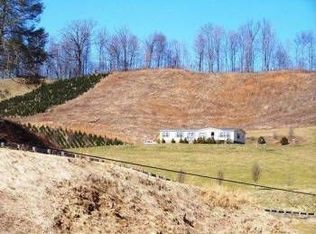 2234 W Brushy Fork Rd, Zionville, NC 28698