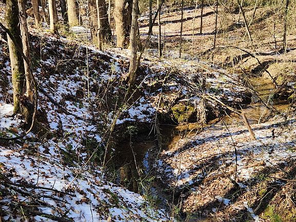 4th image of 5500 Brookton Lula Rd