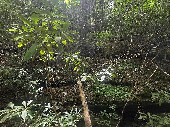 3rd image of 2 Mullins Point Rd