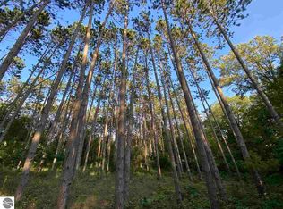 PARCEL W Pickard Rd #A, Mount Pleasant, MI 48858