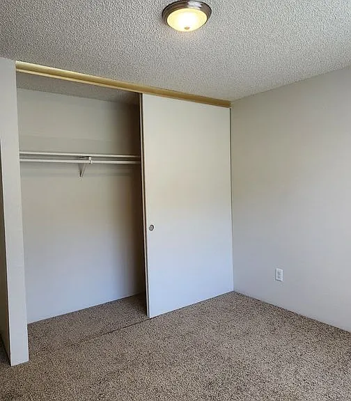 376 S Locust St #376 — Photo 10