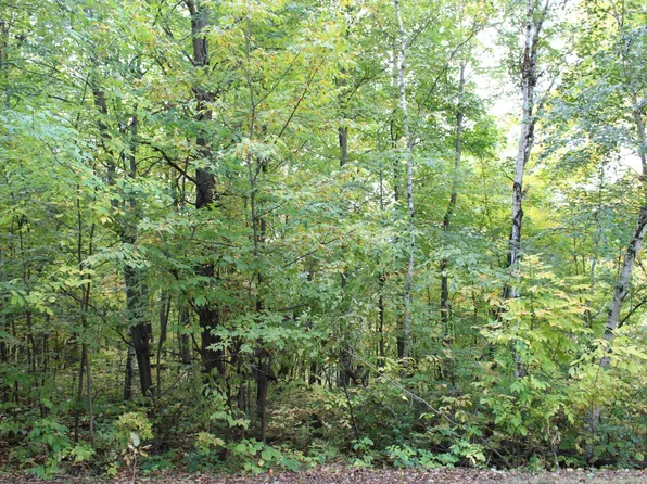 0 Saint Croix Trl, Taylors Falls, MN 55084