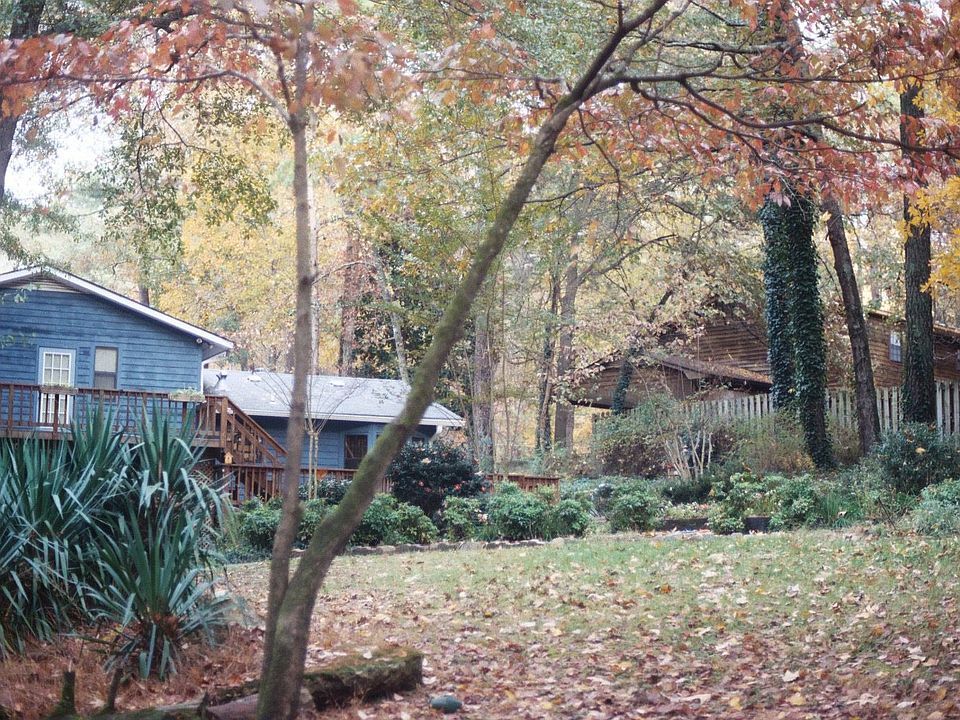 backyard - in the Fall