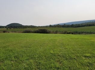 369 Hahn St LOT 43, Beavertown, PA 17813