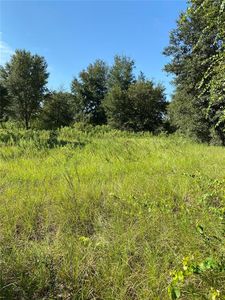 Locust Run Radl LOT 14, Ocala, FL, 34472