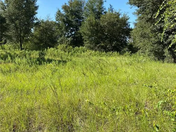 Locust Run Radl Lot 14, Ocala, FL 34472