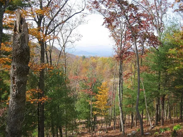 165 Crossvine Trl, Laurel Park, NC 28739