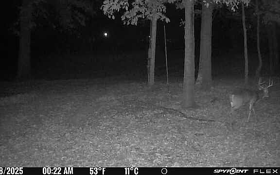 5th image of 8687 N Akin Blacktop Rd