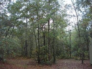 2nd image of 782 Phillips Rd