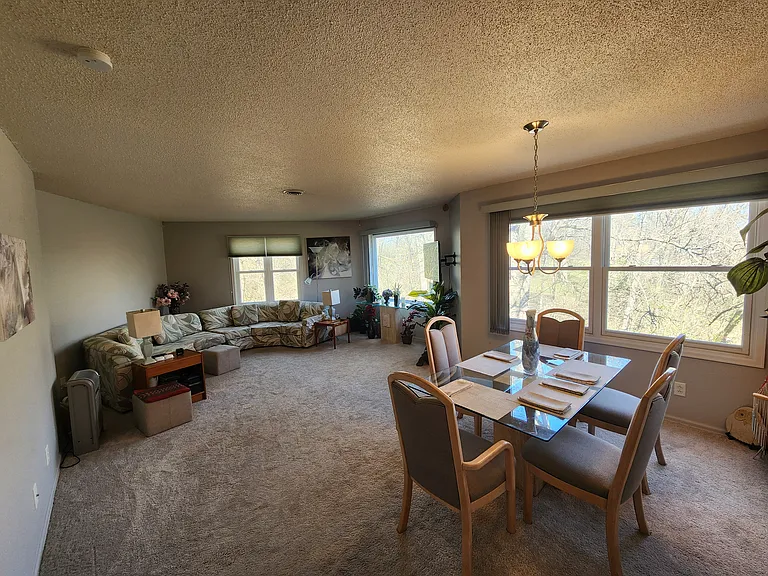 701 E Lowe Ave #411 — Photo 18