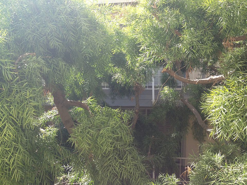 view from living room