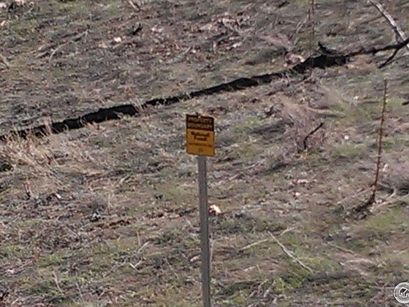 5th image of 131 Bull Rock Ct