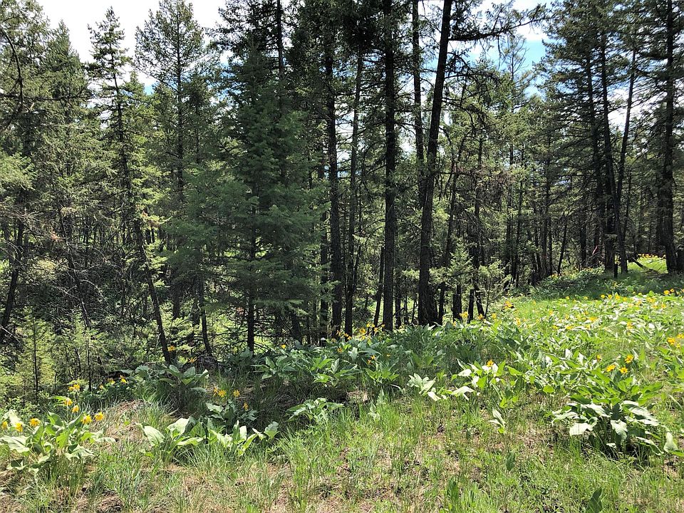 1st image of LOT 1 Brookes Elk View Dr