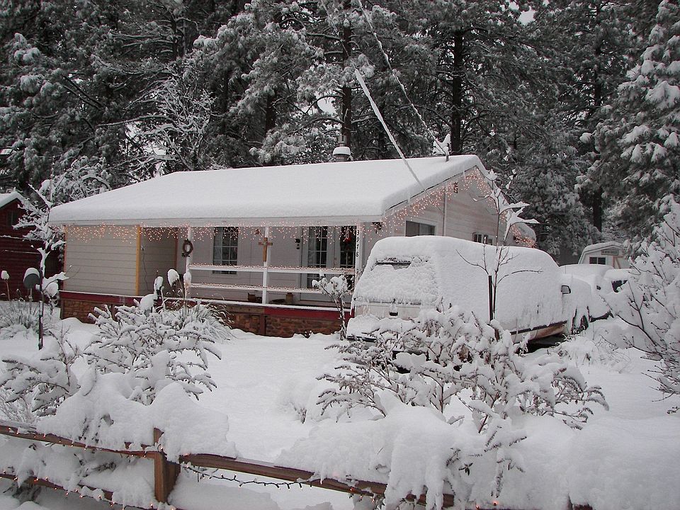 Snowy home