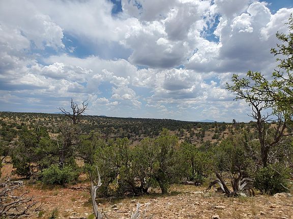4th image of 5463 S Estrella Rd
