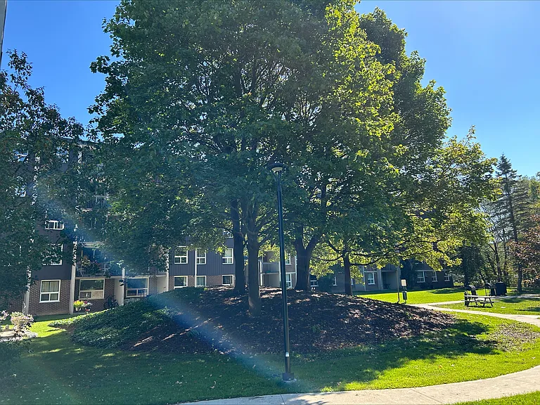 42 Campbell Ct — Photo 21
