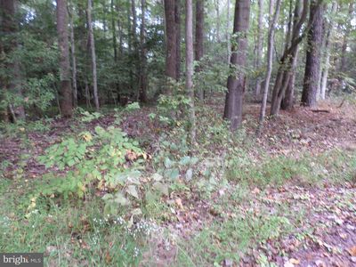 15 Shorewood Dr, Colonial Beach, VA, 22443