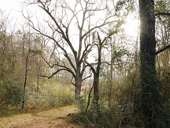 4th image of Frog Ridge Rd