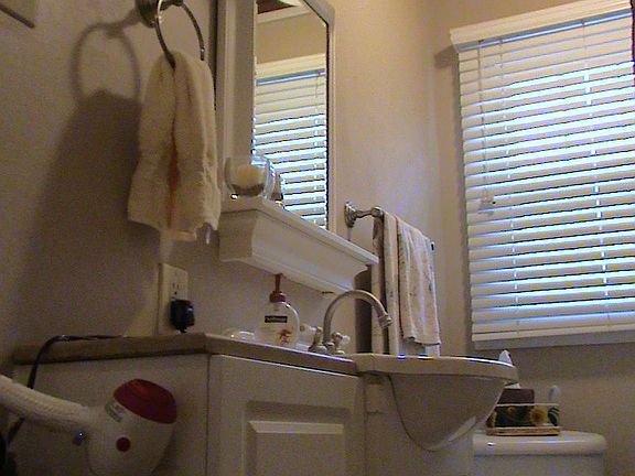 Recently updated bethroom features the original hardwood CEILING