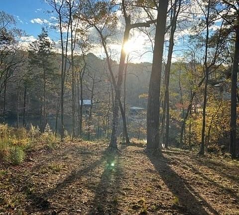 5th image of LOT 64 Highpoint Cv