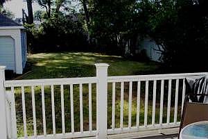 Back yard