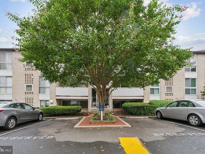 5604 Bloomfield Dr APT 3, Alexandria, VA, 22312