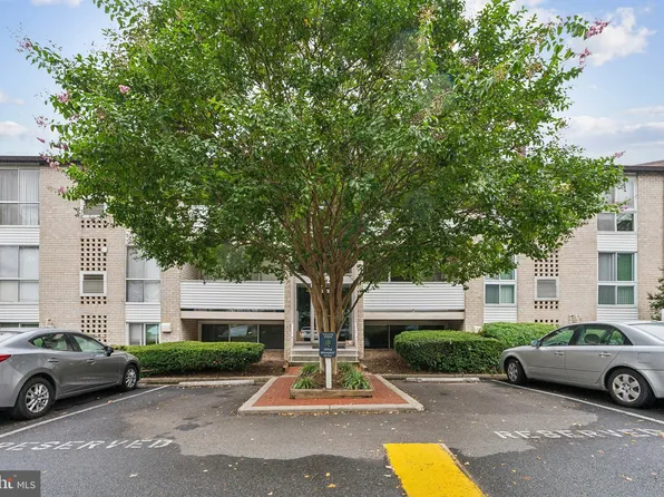 5604 Bloomfield Dr APT 3, Alexandria, VA 22312