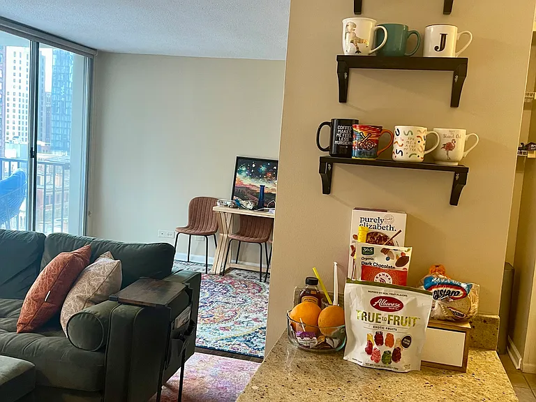 71 E Division St #1005 — Photo 35