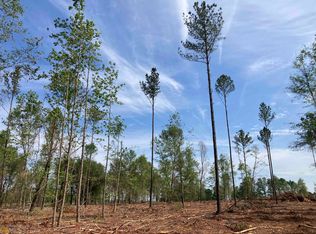 0 State Highway 292, Collins, GA 30421