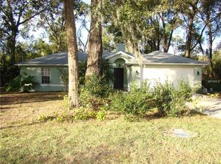476 Baker Ave, Lake Helen, FL 32744