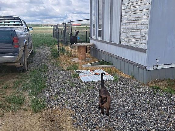 14x70 1970's mobile home