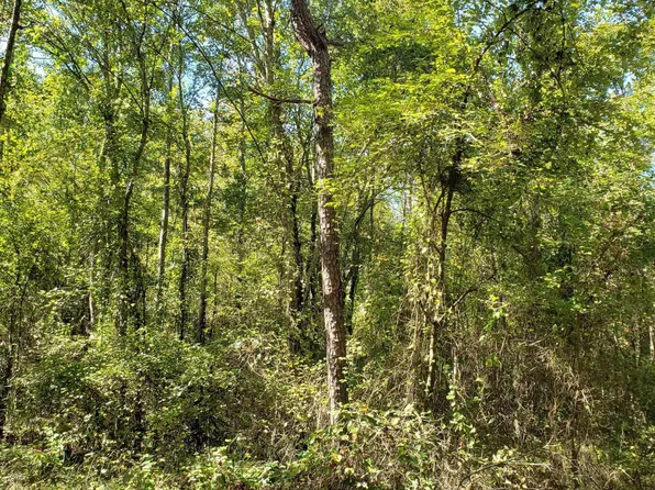 (undisclosed Address), De Queen, AR 71832