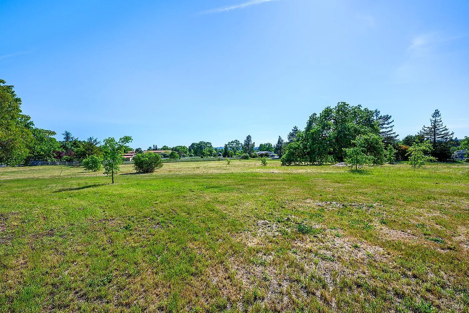 5533 Oak Meadow Drive - Photo 3