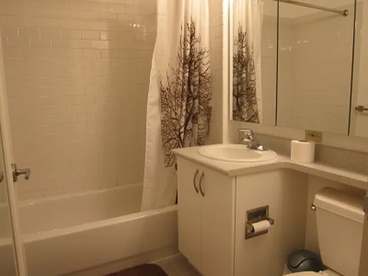 Rented by Citi Habitats | media 20