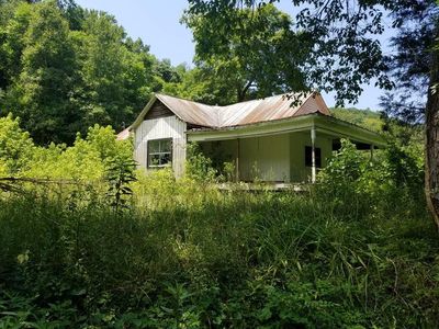 1292 Left Fork Laurel Rd, Blaine, KY, 41124
