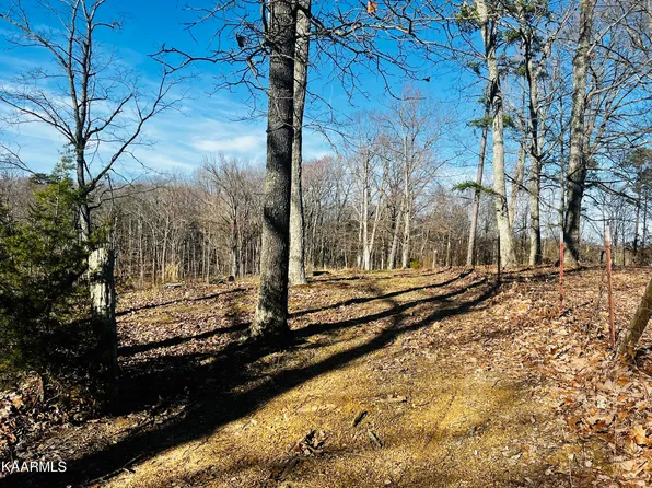 378 Johnson Hollow Rd, New Tazewell, TN 37825