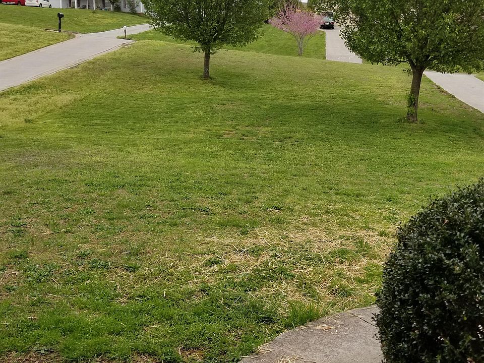 2nd image of 5030 Travis Powell Ln