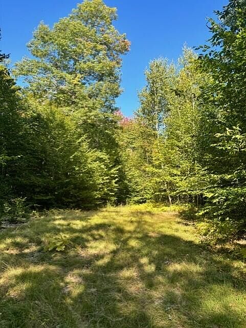 1st image of 0 Beech Ridge  Road