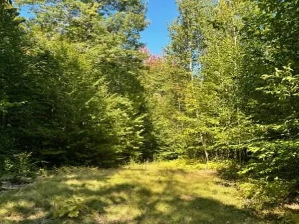 0 Beech Ridge Road, Jay, ME 04239