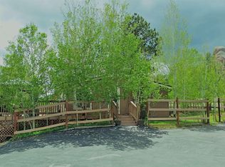 920 Hackamore Dr, Florissant, CO 80816