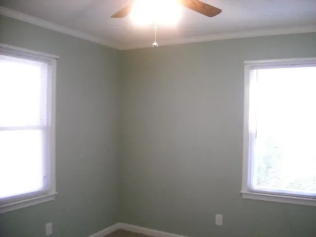 1910 Conway Dr — Photo 11