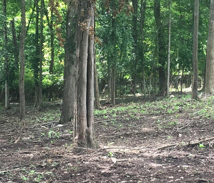 2nd image of 1117 Hunter Dr