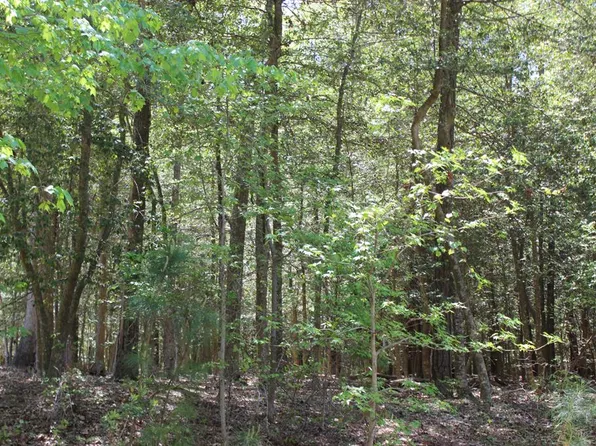 1780 Yeoman Ct #1780, Greenbackville, VA 23356