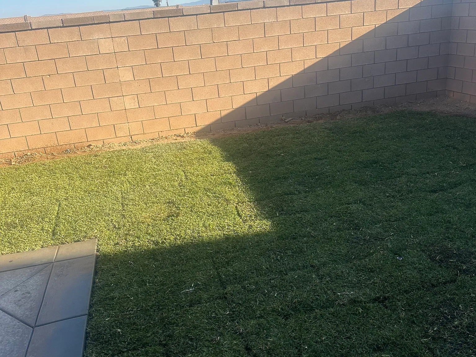 4 bed, 1890 sqft, $3,650 — Photo 4